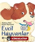 Evcil Hayvanlar / Sürpriz Kapaklı Dizi