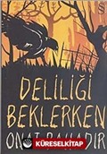 Deliliği Beklerken