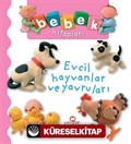 Evcil Hayvanlar ve Yavruları / Bebek Kitapları