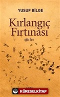 Kırlangıç Fırtınası