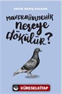 Maveraünnehir Nereye Dökülür?