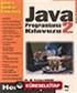 Java Programlama Kılavuzu 2