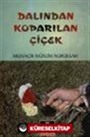 Dalından Koparılan Çiçek