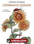 Günebakan Çiçekleri