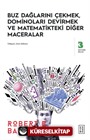 Buz Dağlarını Çekmek, Dominoları Devirmek ve Matematikteki Diğer Maceralar