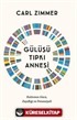 Gülüşü Tıpkı Annesi