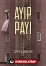 Ayıp Payı