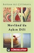 Mevlana'da Aşkın Dili