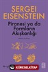 Piranesi ya da Formların Akışkanlığı