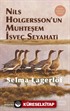 Nils Holgersson'un Muhteşem İsveç Seyahati