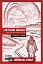 Mecnûn Divanı