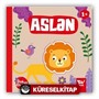 Dokun Dinle / Aslan