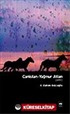 Canistan / Yağmur Atları